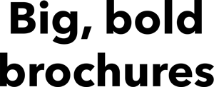 Big_Bold_Brochures_LOGO