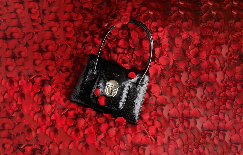 3_CaseStudyPage_Consumer_Products_Marketing_Launch_Image