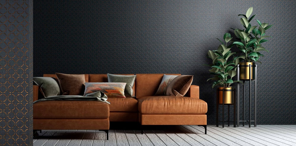 Photography of a brown sofa in a room with dark walls and 2 green plants next to the sofa.